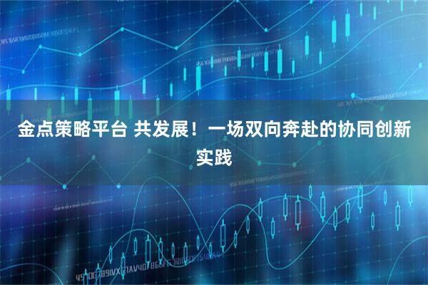 金点策略平台 共发展！一场双向奔赴的协同创新实践