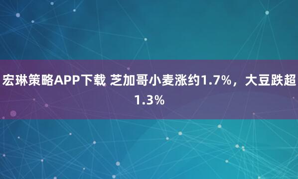 宏琳策略APP下载 芝加哥小麦涨约1.7%，大豆跌超1.3%