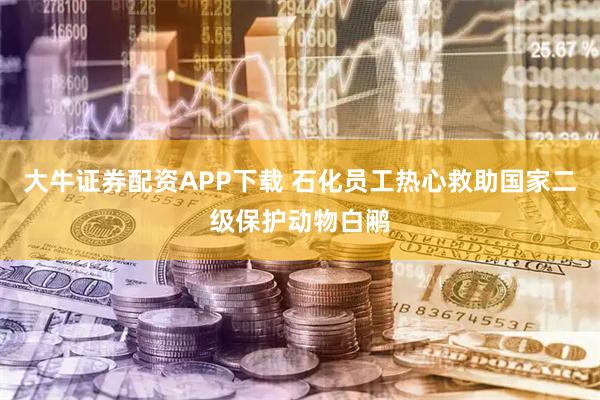 大牛证券配资APP下载 石化员工热心救助国家二级保护动物白鹇