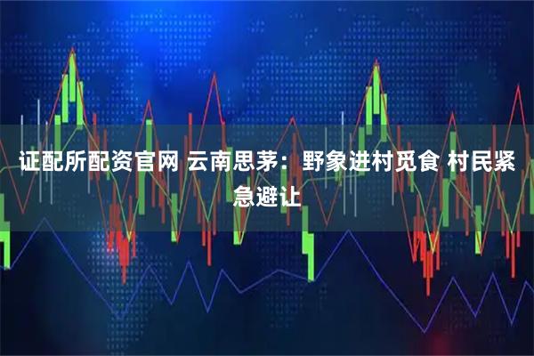 证配所配资官网 云南思茅：野象进村觅食 村民紧急避让